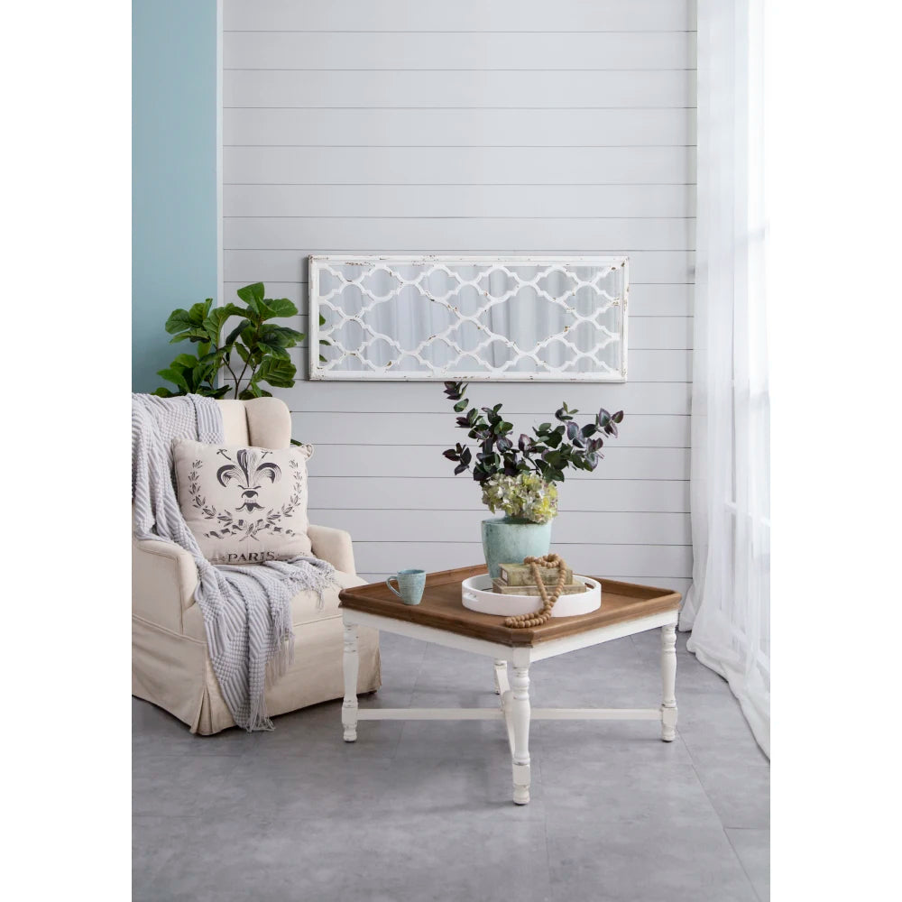 Distressed White Floor Mirror 24×60